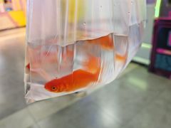 -星际传奇·电玩城·游戏厅·儿童乐园(大悦城店)