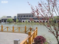 怡沁园度假村049-上海怡沁园度假酒店