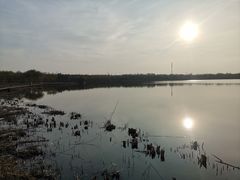 -西青郊野公园