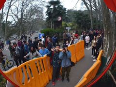 -武汉大学-樱园