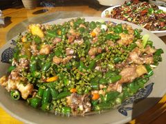 -铁山坪森林公园