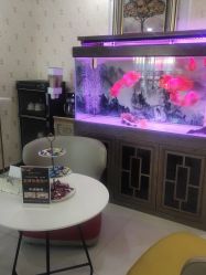 点击看大图 -安院长·产后恢复·徒手骨盆(先天下店)