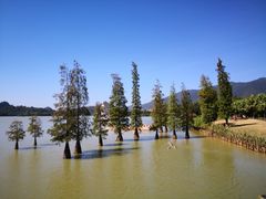 -星湖旅游景区七星岩