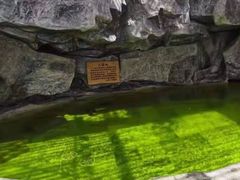 -爱江山温泉(凌奥店)