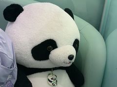 -眉州东坡·熊猫主题餐厅(枫蓝店)
