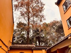 -龙华寺