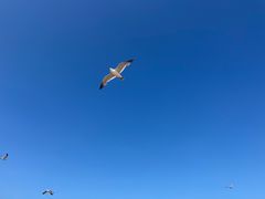 -那香海钻石沙滩浴场