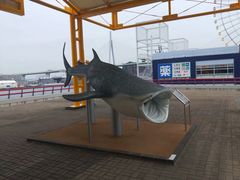 -大阪海游馆