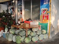 -金瑶池·猪肚鸡·传统冬瓜盅(20年白沙店)