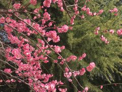 -白塘生态植物园