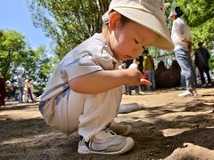 -长白岛森林公园