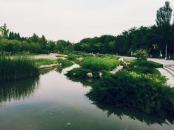 -大望京儿童游乐场