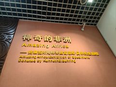 -国家自然博物馆