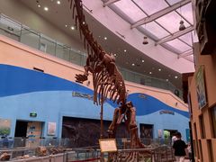 -陕西自然博物馆