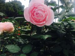 -人民公园(罗湖区)