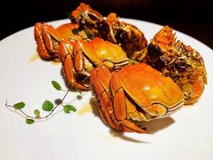 -甄御•海鲜新青岛菜(麦岛店)