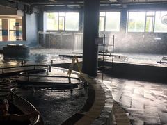 -晋爵会游泳馆(海湾公园店)