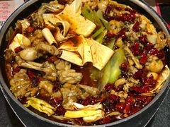 馋嘴蛙-蛙小侠(珠海华发商都店)