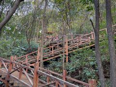-大岭沟猕猴桃谷风景区