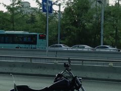 -阿达西新疆餐厅(西北大学店)