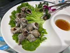 -海派美食·家宴海鲜青岛菜·石锅鲽鱼头(东方城店)
