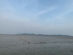 -崖口红树林海鲜餐厅