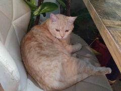 -小时光咖啡馆(北锣鼓巷店)