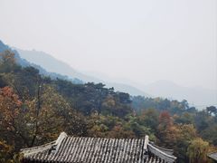 -翼松楼餐厅