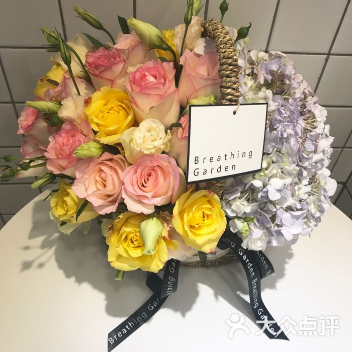 呼吸花园breathing garden图片 - 第10张