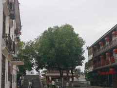 -涵家味土菜馆·徽州一绝臭鳜鱼(三河古镇店)