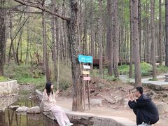 -洛阳白云山景区