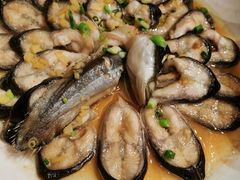 清蒸鳗鱼-醉香园(长江北路店)