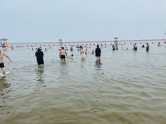 -碧海金沙