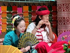 -西双版纳原始森林公园