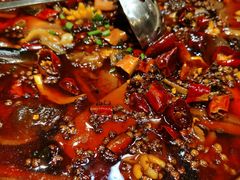 毛血旺-老酒川菜坊(中山西路店)