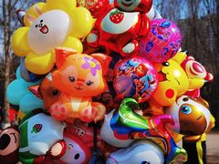 -长白岛森林公园