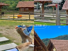 -龙岩森林水乡景区