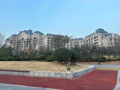 -星光岛