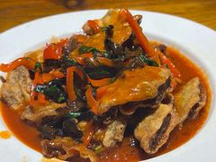 浇汁袈裟-柴窝堡22号辣子鸡·传承新疆菜