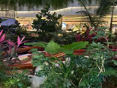 -广州白天鹅宾馆