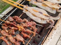 -尚庄度假村·庭台树下·户外烧烤·团建CS·轰趴营地(上庄水库店)