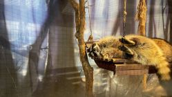 -酷嗒动物文化乐园(cutezoo西溪乐天城店)