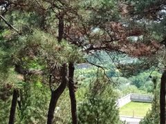 -北京西山国家森林公园