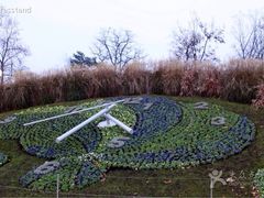 -花钟