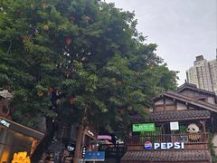 -重庆十八梯传统风貌区