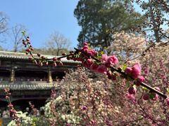 -潭柘寺景区