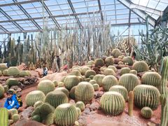 -南通洲际绿博园