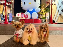 -深圳湾万象城(南山店)