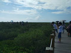 -北海金海湾红树林生态旅游区