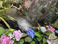 -正佳雨林生态植物园